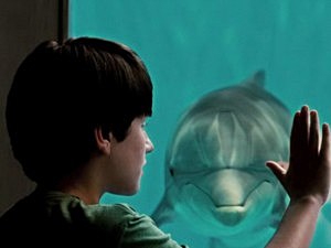 DolphinTale